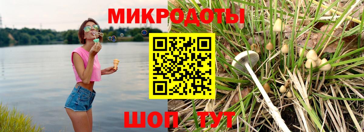 Калининград  Псилоцибиновые грибы мицелий  Вход с VPN 